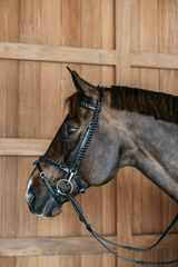Dy'on Working Collection Plaited Training Bridle