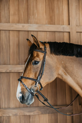 Dy'on Working Collection Plaited Training Bridle