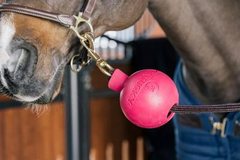 Kentucky Horsewear Rubber Ball Protection Wall & Lead