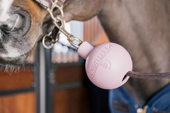 Kentucky Horsewear Rubber Ball Protection Wall & Lead