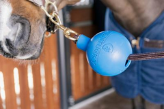 Kentucky Horsewear Rubber Ball Protection Wall & Lead