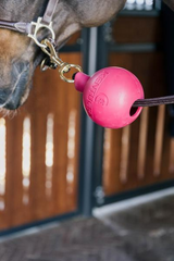 Kentucky Horsewear Rubber Ball Protection Wall & Lead