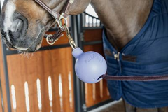 Kentucky Horsewear Rubber Ball Protection Wall & Lead