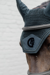 Dy'on D Collection Plaited Flash Noseband Bridle