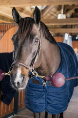 Kentucky Horsewear Rubber Ball Protection Wall & Lead
