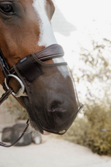 Kentucky Horsewear Anti Fly Nose Net