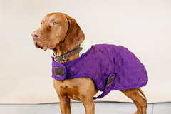 Kentucky Horsewear Dog Coat Original