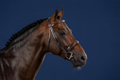 Dy'on US Hunter Collection Wide Noseband Hunter Bridle