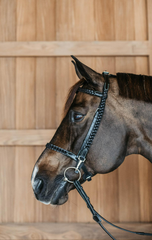 Dy'on Working Collection Plaited Training Bridle