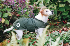 Kentucky Horsewear Dog Coat Waterproof 300g