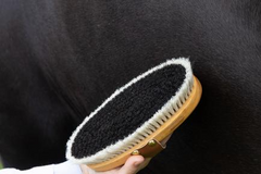 Kentucky Horsewear Overall Brush Shine
