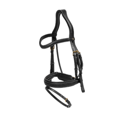Dy'on D Collection Plaited Flash Noseband Bridle with Pull back