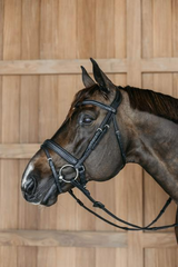 Dy'on New English Collection Plaited Flash Noseband Bridle with Pull back