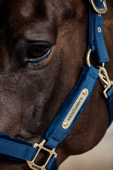 Kentucky Horsewear Velvet Halter