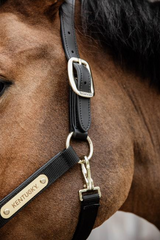 Kentucky Horsewear Nylon Anatomic Halter