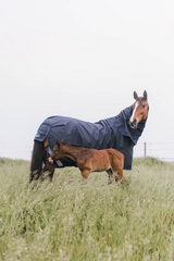 Kentucky Horsewear Turnout Rug All Weather Waterproof Comfort