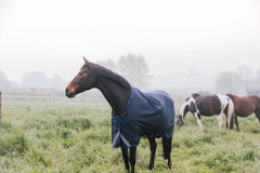 Kentucky Horsewear Turnout Rug All Weather Waterproof Comfort