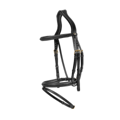 Dy'on D Collection Plaited Flash Noseband Bridle
