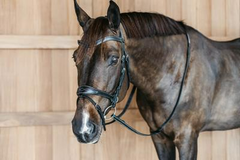 Dy'on Working Collection Working Motion Bridle