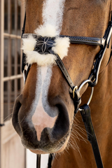 Dy'on D Collection Plaited Figure 8 Noseband Bridle
