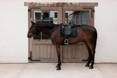 Kentucky Horsewear Saddle Pad Sparkling Dressage