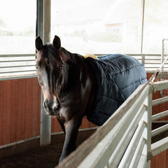 Kentucky Horsewear Nylon Walker Girth