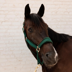 Kentucky Horsewear Velvet Halter