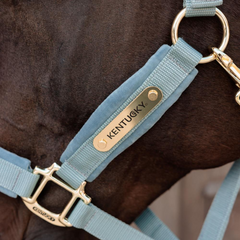 Kentucky Horsewear Velvet Halter