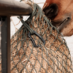 Kentucky Horsewear Aluminium Safety Snap