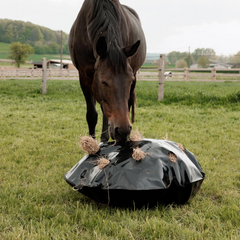 Kentucky Horsewear Play & Haybag Slow Feeder Round