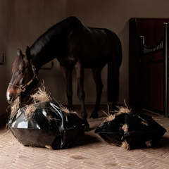 Kentucky Horsewear Play & Haybag Slow Feeder Round