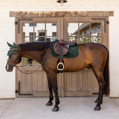 Kentucky Horsewear Saddle Pad Velvet Mini Pearls Jumping