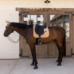 Kentucky Horsewear Saddle Pad Velvet Mini Pearls Dressage