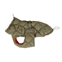 Kentucky Horsewear Dog Coat Winter Pina