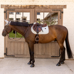 Kentucky Horsewear Saddle Pad Velvet Printing Jumping