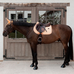 Kentucky Horsewear Saddle Pad Velvet Printing Jumping
