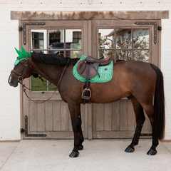 Kentucky Horsewear Saddle Pad Velvet Printing Jumping