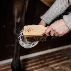 Grooming Deluxe Hoof Brush