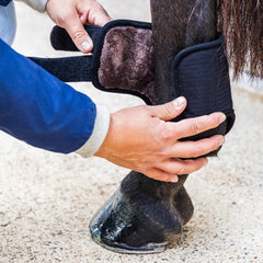 Kentucky Horsewear Eventing Boots 3D Air Flow Skin Friend Hind Short