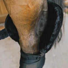 Kentucky Horsewear Transport Stable Bandage Pad with hock protection