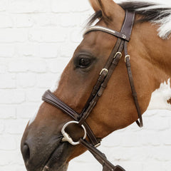 Kentucky Horsewear Anatomic Noseband Without Flash