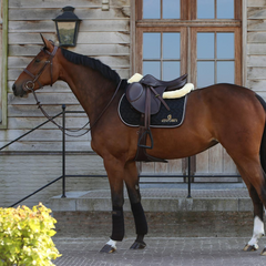 Kentucky Horsewear Saddle Pad No Logo