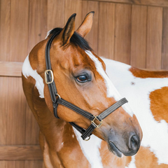 Kentucky Horsewear Leather Halter Wellington