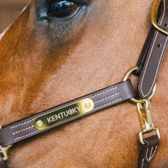 Kentucky Horsewear Leather Halter Wellington