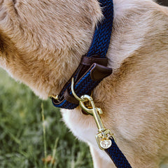 Kentucky Horsewear Plaited Nylon Dog Collar