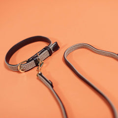 Kentucky Horsewear Plaited Nylon Dog Leash