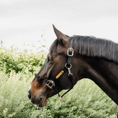 Kentucky Horsewear Control Halter Neck Piece