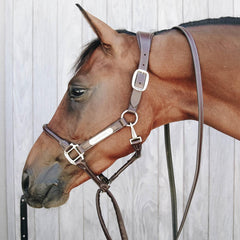 Kentucky Horsewear Leather Covered Chain Lead