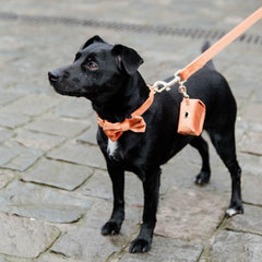 Kentucky Horsewear Dog Leash Velvet 120 cm