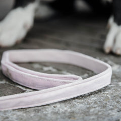 Kentucky Horsewear Dog Leash Velvet 120 cm